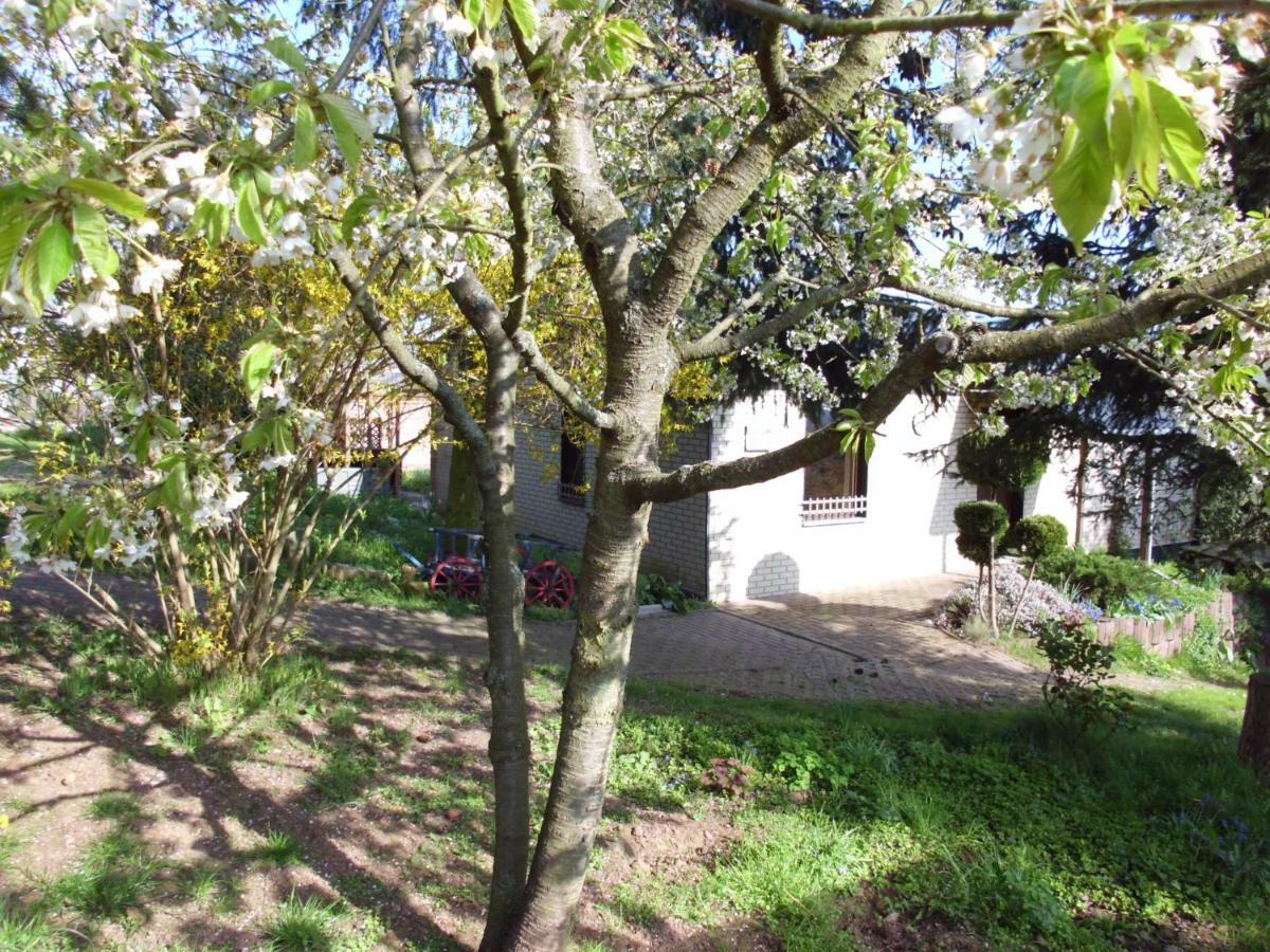 Villa Ferienhaus Santo à Nordhausen Extérieur photo